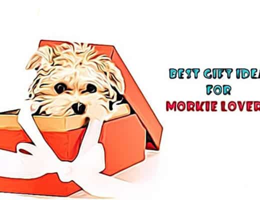 gifts for morkie lovers, gift ideas, dog gift ideas